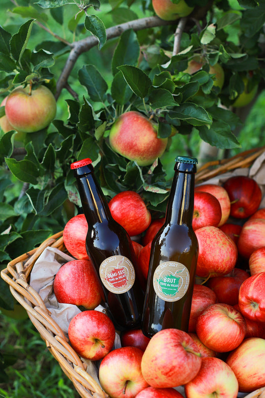 Entdeckerpaket – 2 Flaschen Artisan Cider, Brut und Semi-Dry (je 1 x 33 cl)