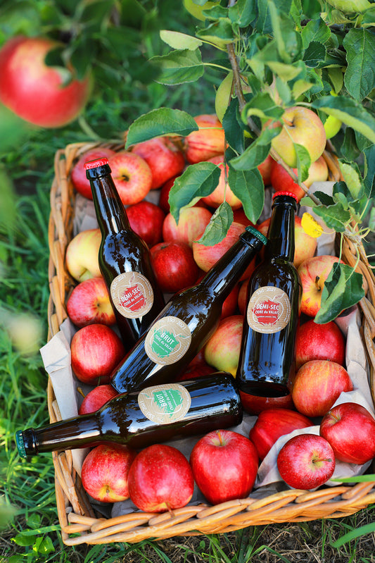 Probierbox mit 4 Flaschen – Artisanal Cider Brut &amp; Semi-Dry
